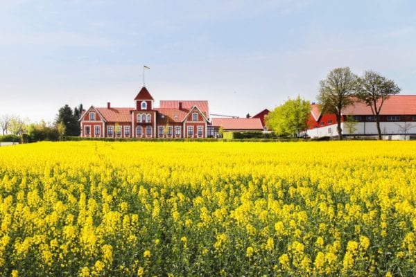 Gunnarshögs Gård - Österlen