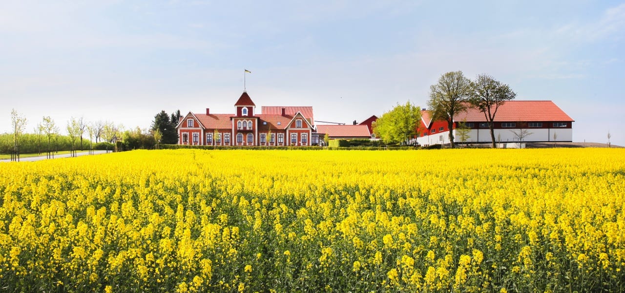 Gunnarshögs Gård - Österlen