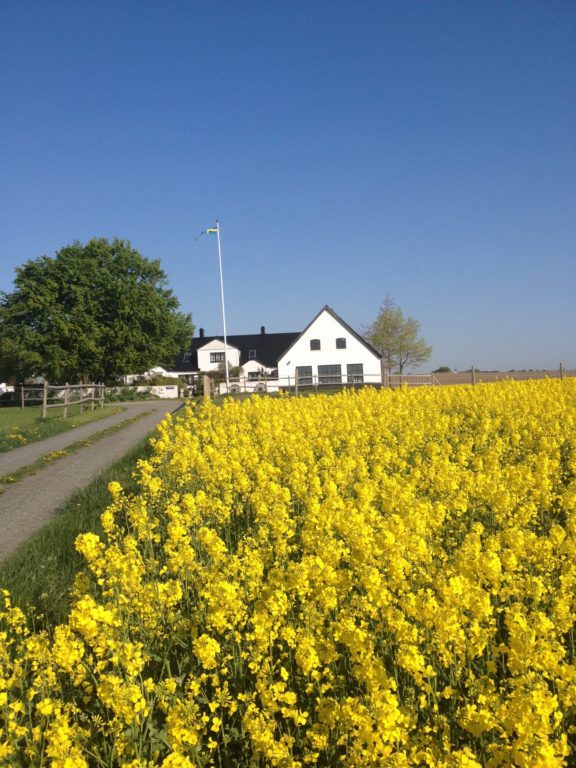 Jansro hem & trädgård