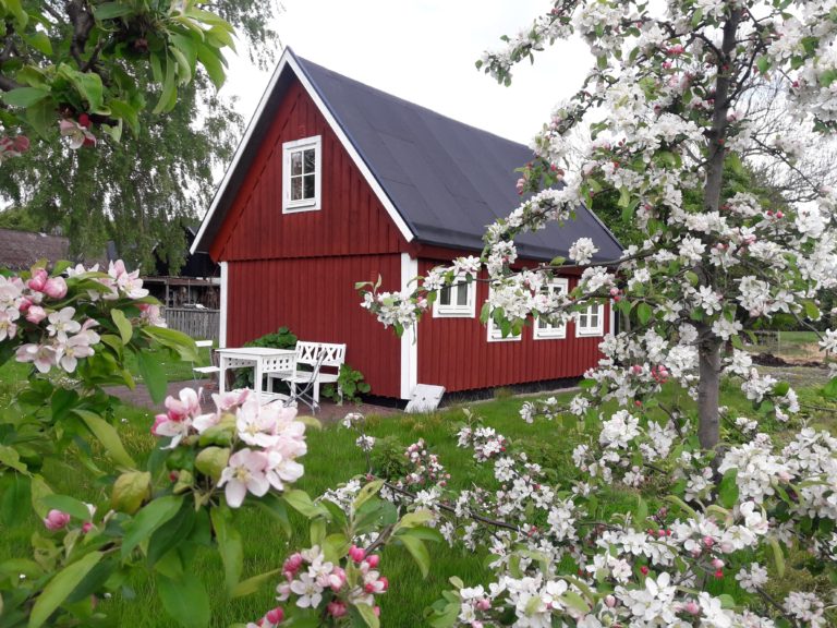 Källagården