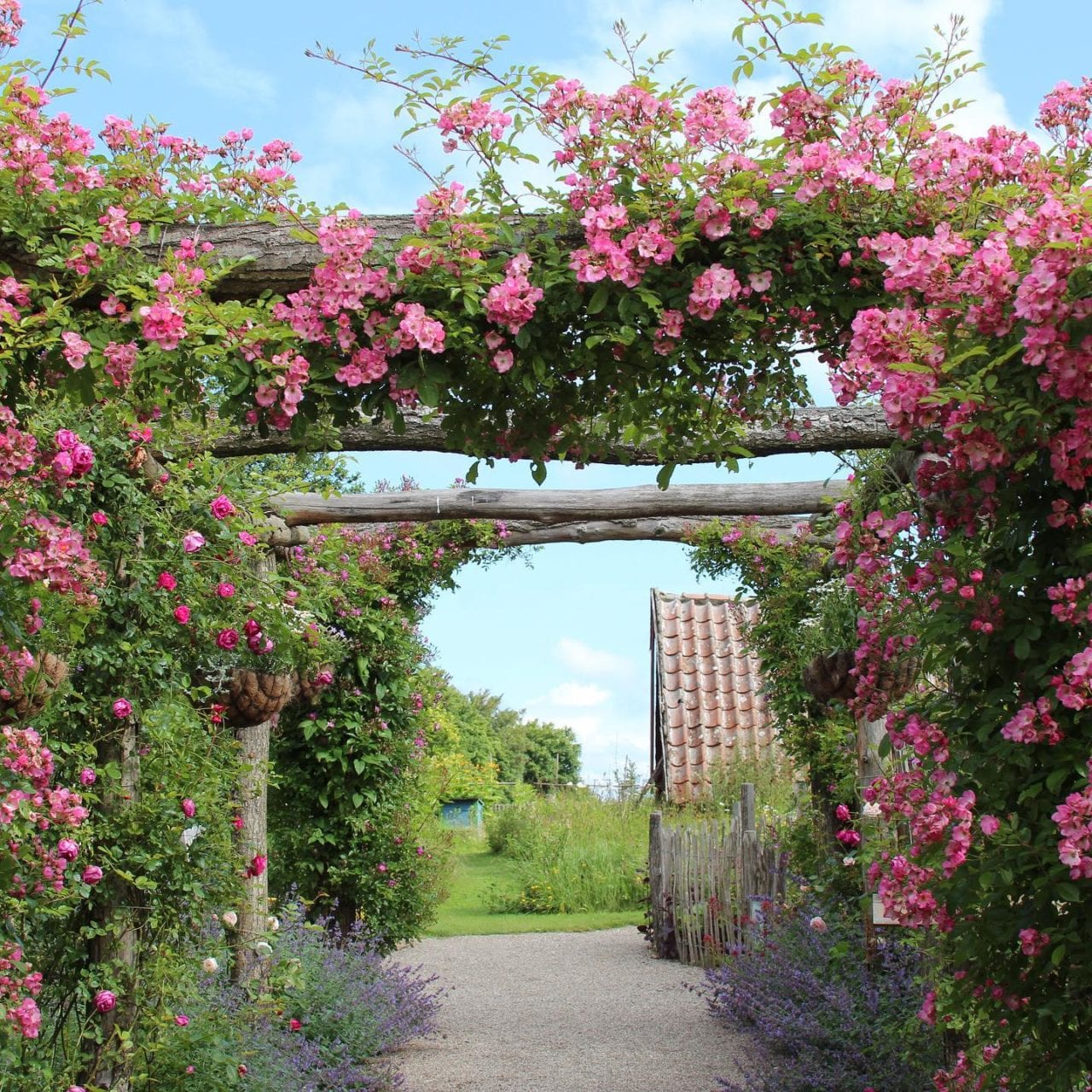 Den engelska trädgården