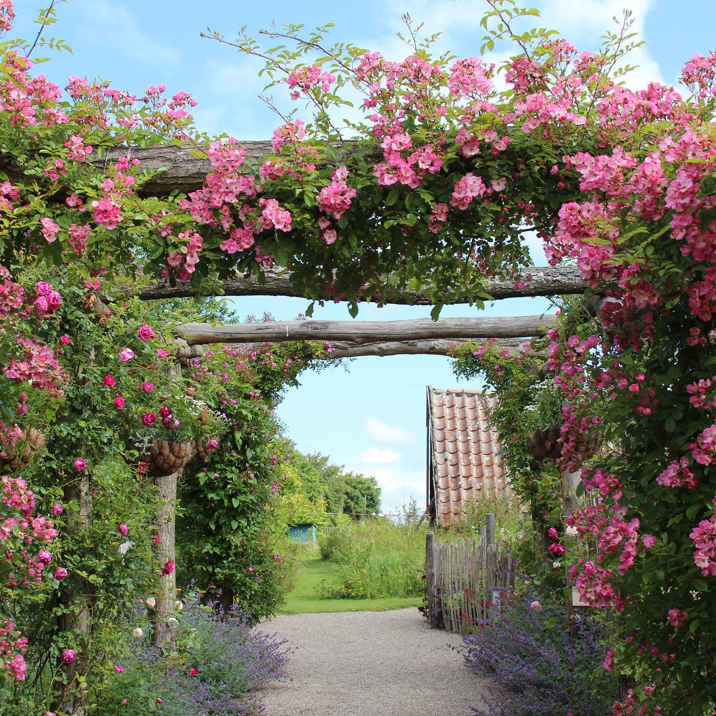 Den engelska trädgården
