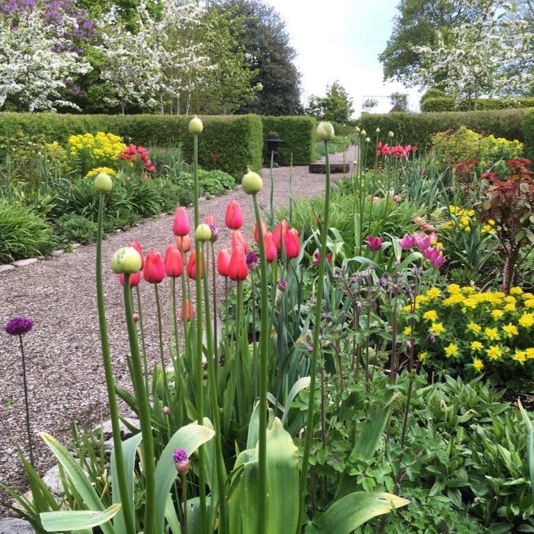 Den engelska trädgården