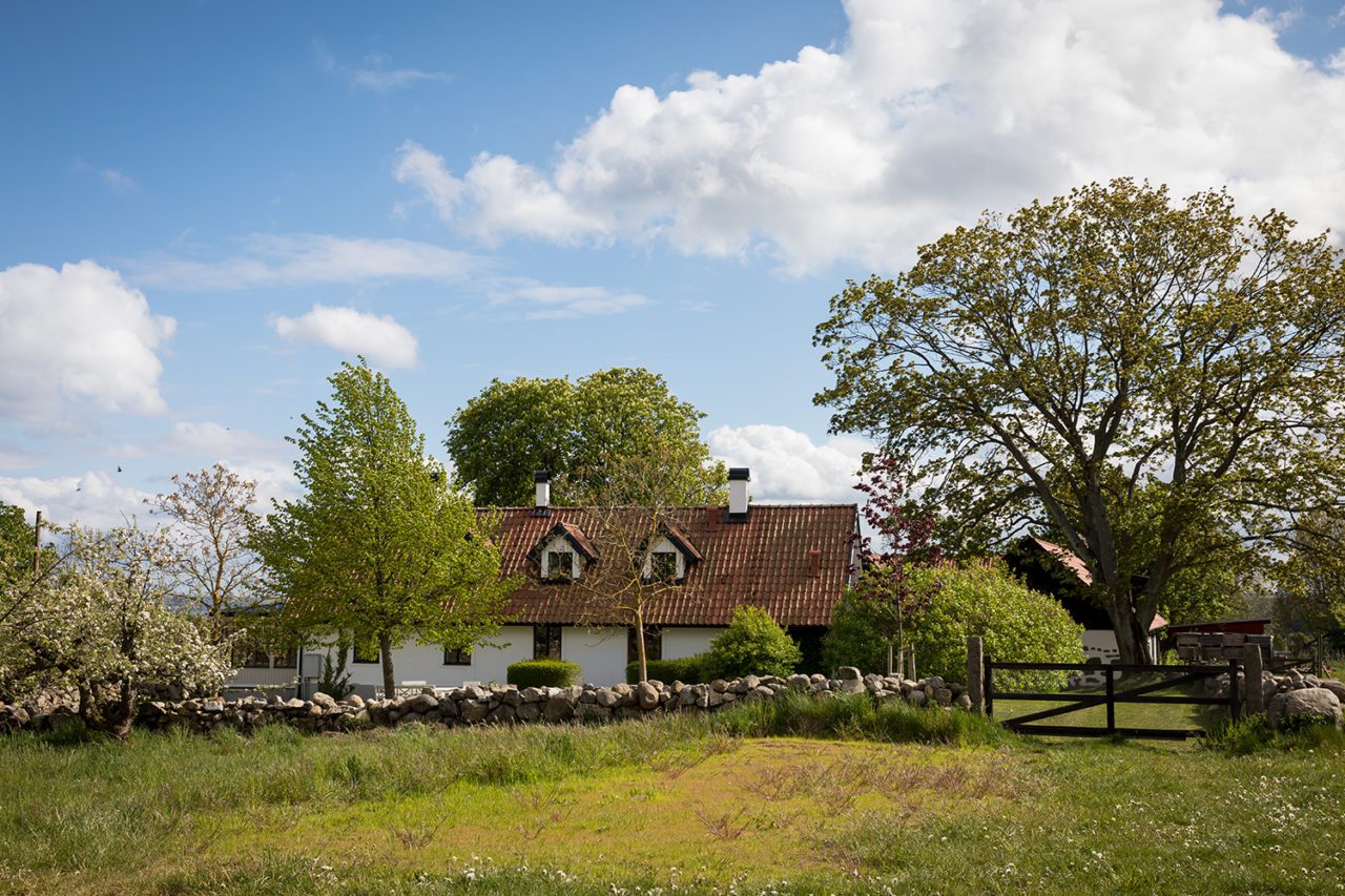 Maglehems musteri