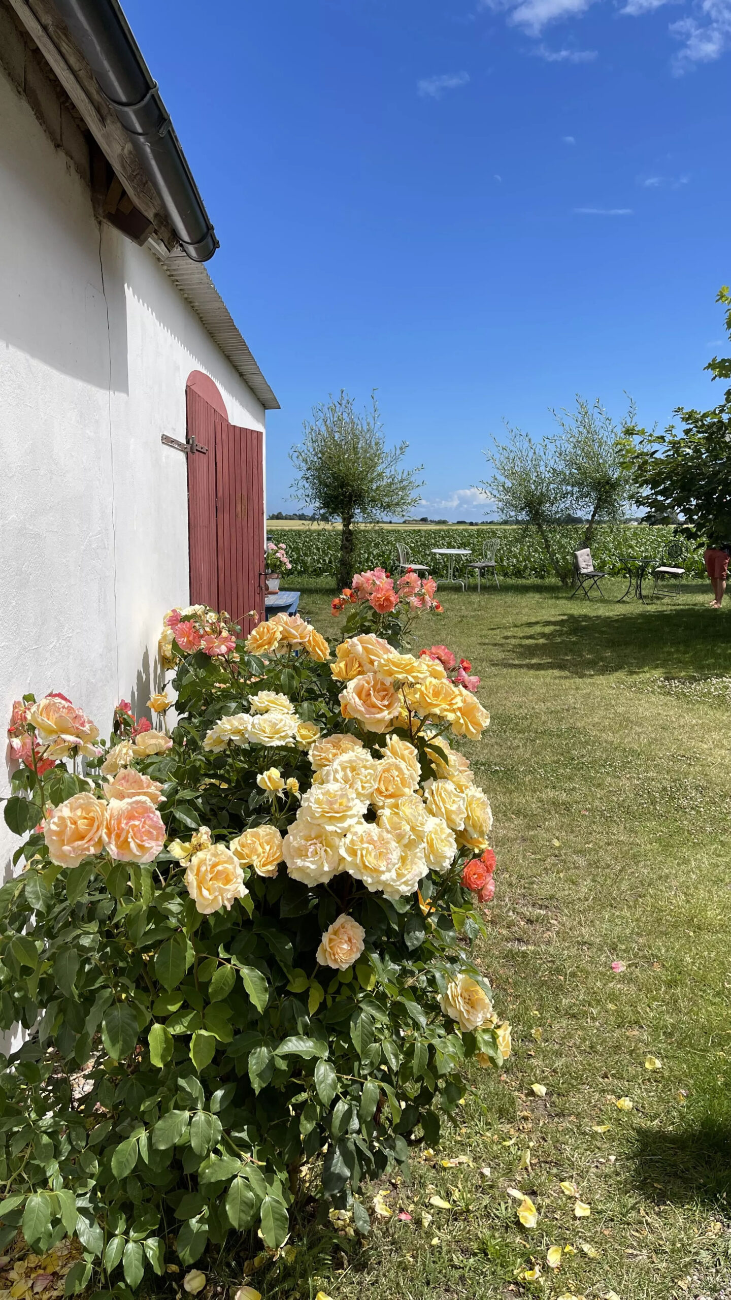 Peppinge B&B